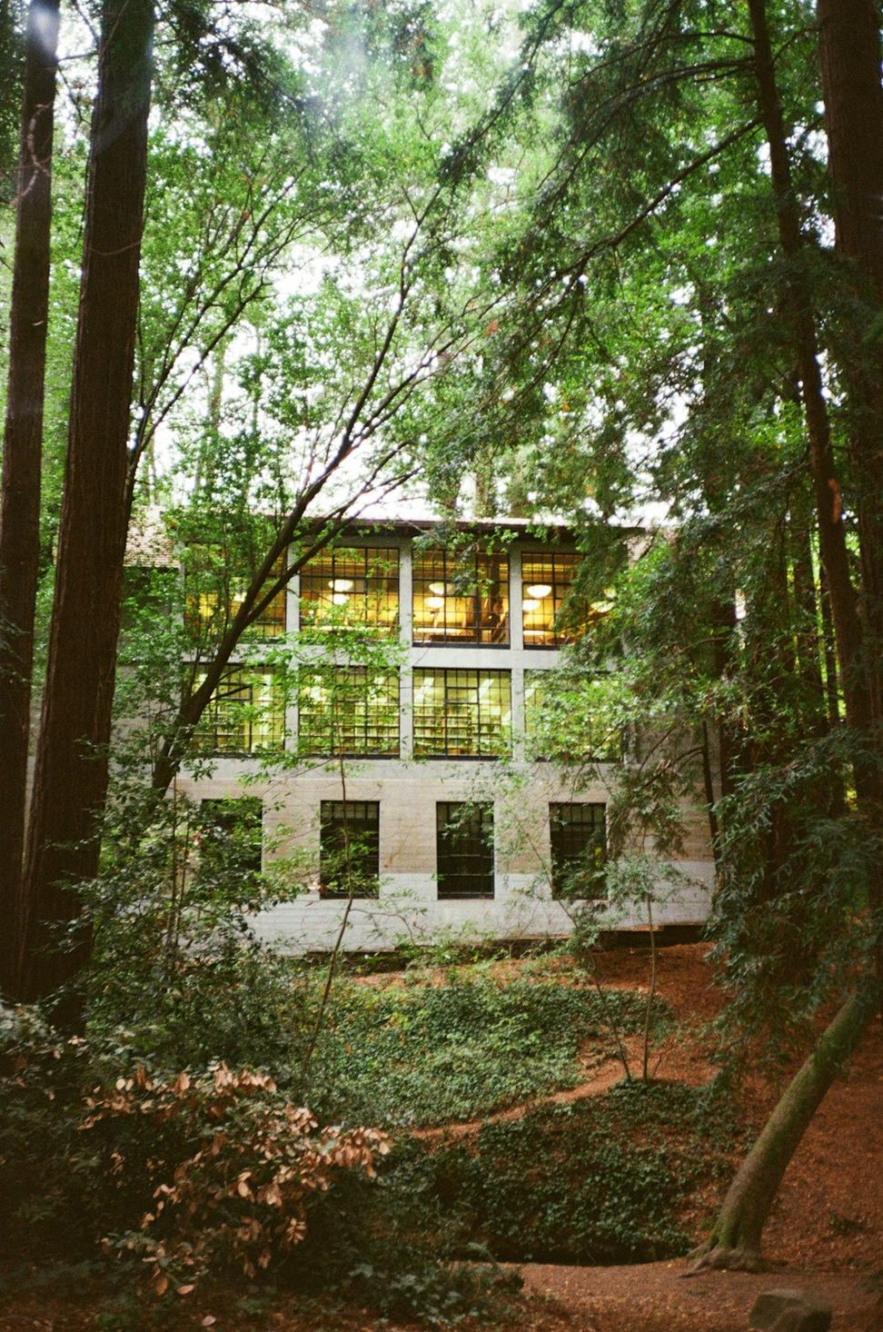 Whistler Mountain Retreat